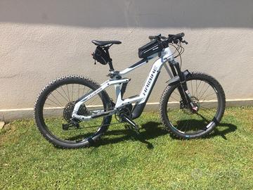 e-mtb elettrica