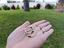 Immagine 1
