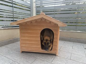 Cuccia in resina per cane taglio medio/grande