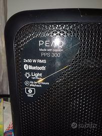 PARTYBOX PEAQ PSS300