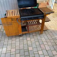 Barbecue a gas gpl