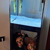 Acquario askol pure 40 lt