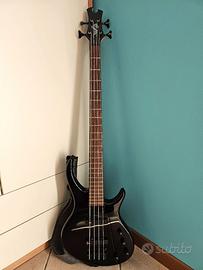 Basso elettrico con amplificatore Ampeg e borsa