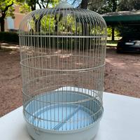 Gabbia per uccellini