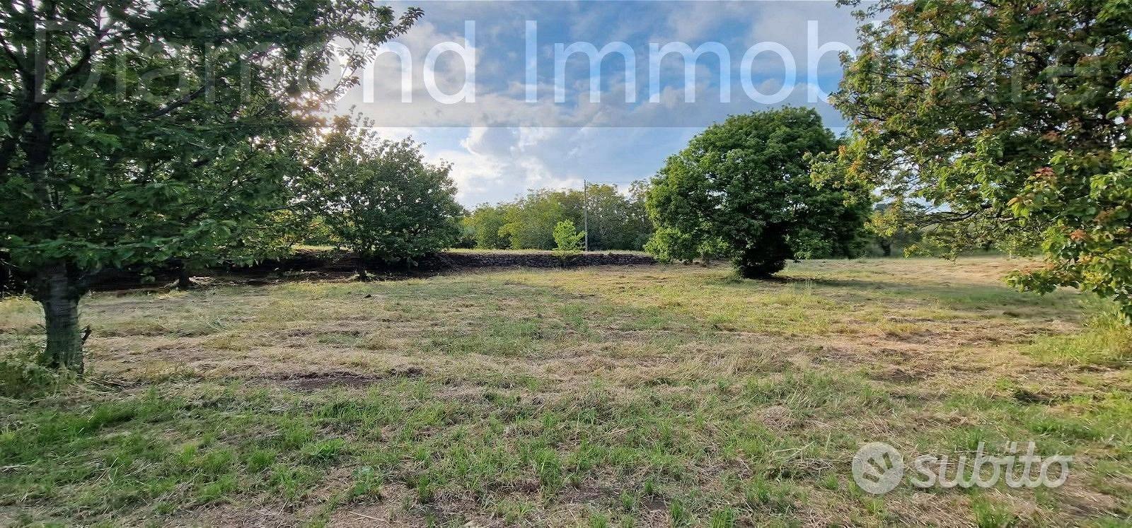 Rustico con uliveto e vigneto a Piedimonte Etneo - Vista 5