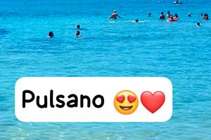 Pulsano Trilocale 2026