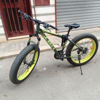 Fat Bike