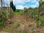 Immagine 23
