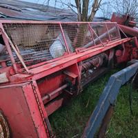 Spannocchiatore geringoft