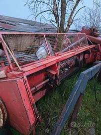 Spannocchiatore geringoft