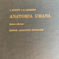 Anatomia Umana Testut Latarjet Indice analitico