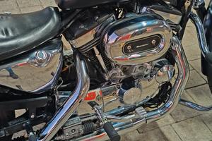 Harley Davidson 883 