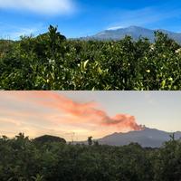 Agrumeto con fabbricato ad uso abitativo