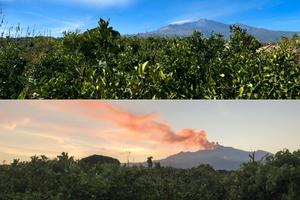 Agrumeto con fabbricato ad uso abitativo