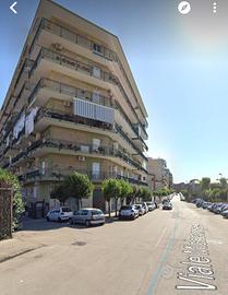 Casavatore cantinola Viale Michelangelo