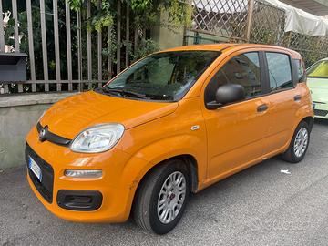 panda da privato