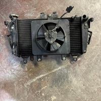 Triumph tiger 1050 ricambi