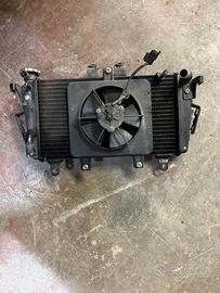 Triumph tiger 1050 ricambi