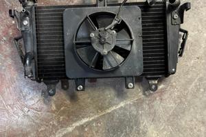 Triumph tiger 1050 ricambi