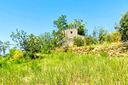 rustico-a-falconara-albanese