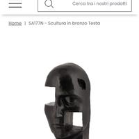 testa in bronzo