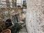 Immagine 21