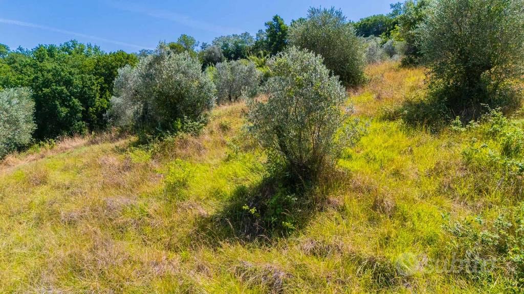 Terreno di 17299 m² a Mompeo - Vista 4