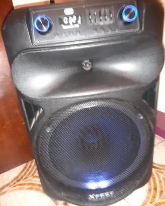 cassa amplificato 