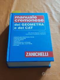 Manuale x Geometri Zanichelli-Libro professionisti
