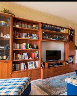 Mibile tv