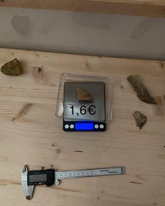 Legno fossile