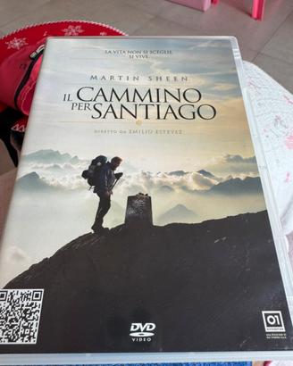 DVD Il cammino per Santiago