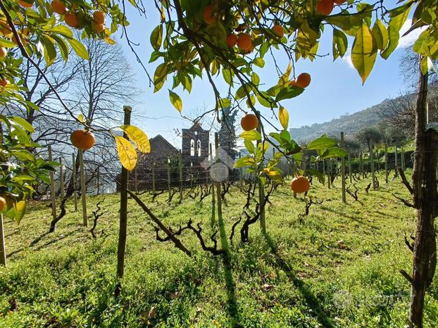 TER. AGRICOLO A SANREMO