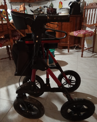 Deambulatore per anziani