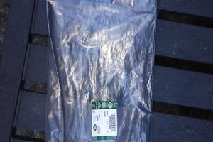 cinghia servizi originale Land rover td5