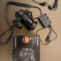 Panasonic Lumix DCM FZ300