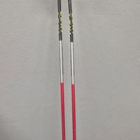 Bastoni Leki curvi da sci