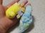 Immagine 1