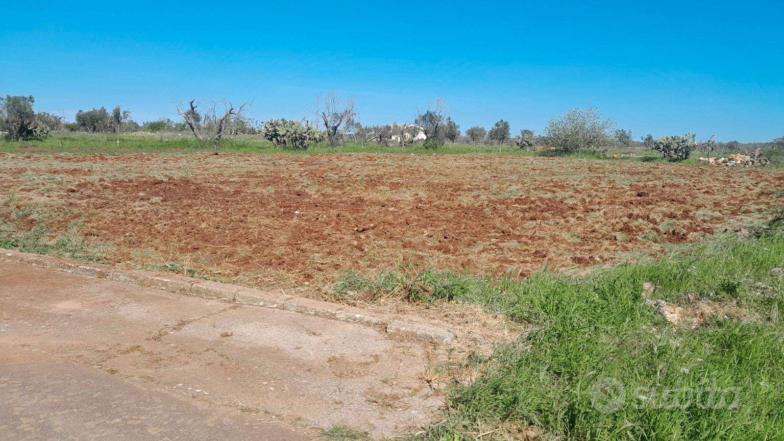 Terreno agricolo - Vista 4