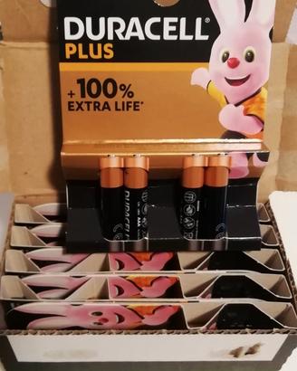 PILE DURACELL IN BLISTER