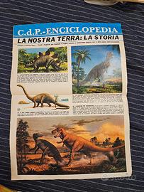 C.d.p enciclopedia La nostra terra anni 60