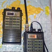 n.2 Icom IC-02E "leggere bene"