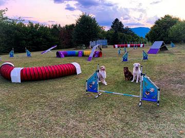 Attrezzatura Agility