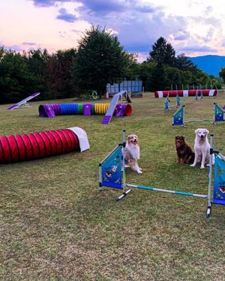 Attrezzatura Agility