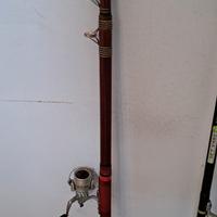 coppia di canne da pesca