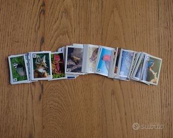 Figurine album WWF Coop