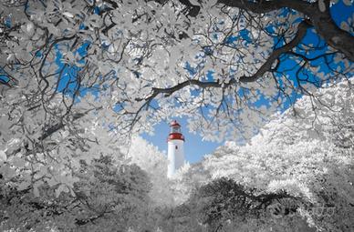 Samsung NX1100 20,3 MP full spectrum IR/UV