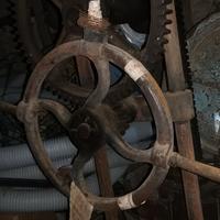 torchio vino vite infinita fine 800 