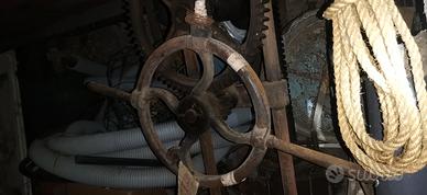 torchio vino vite infinita fine 800 