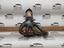 Immagine 22